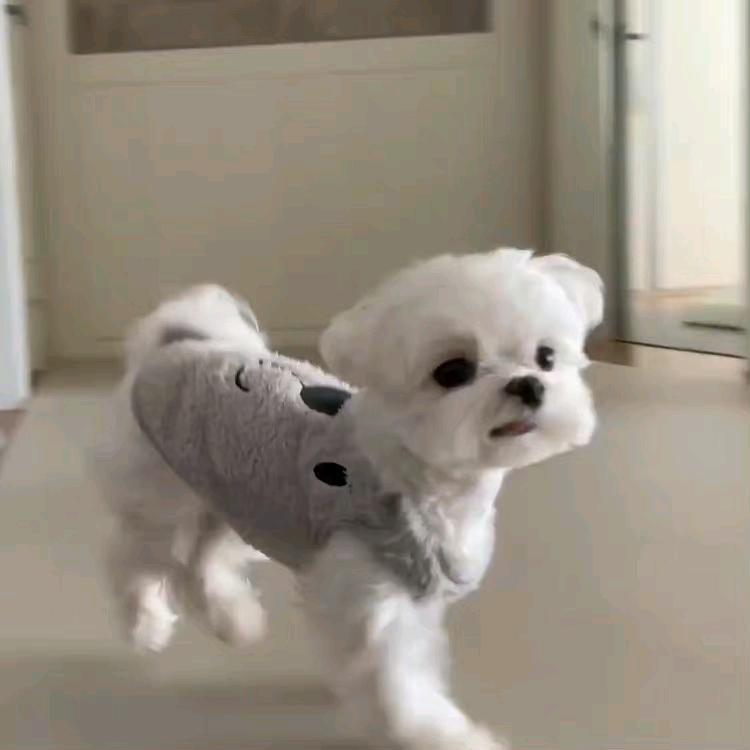 🦋财从四面八方来🦋