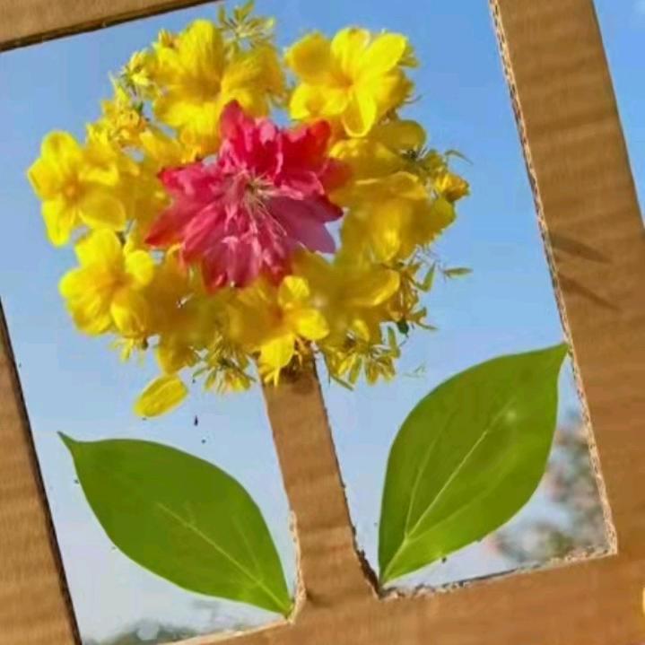 糖宝