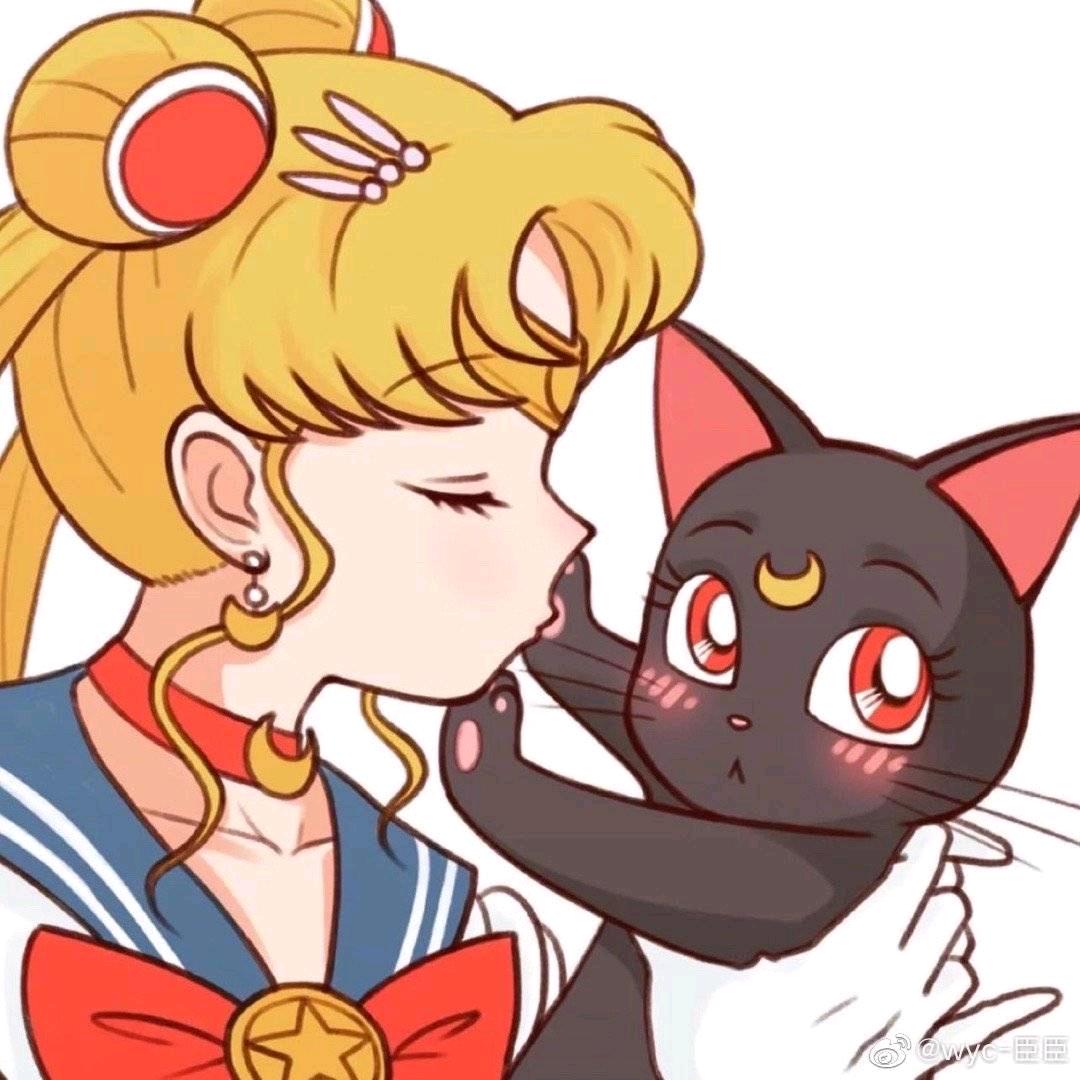 luna🌙头像