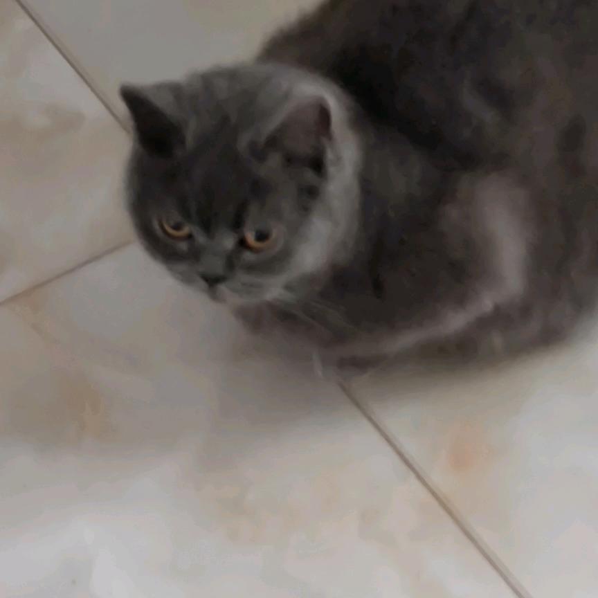 微笑甜甜
