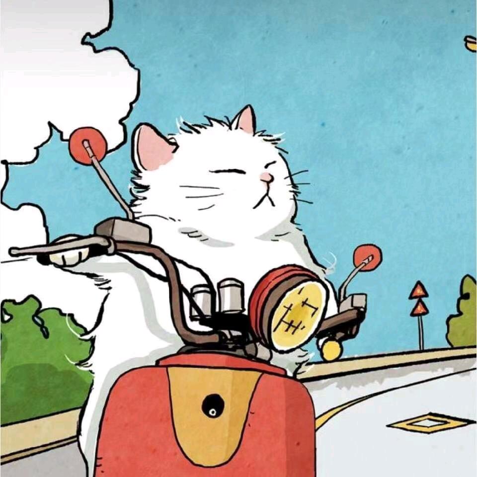 自由的猫户外探险