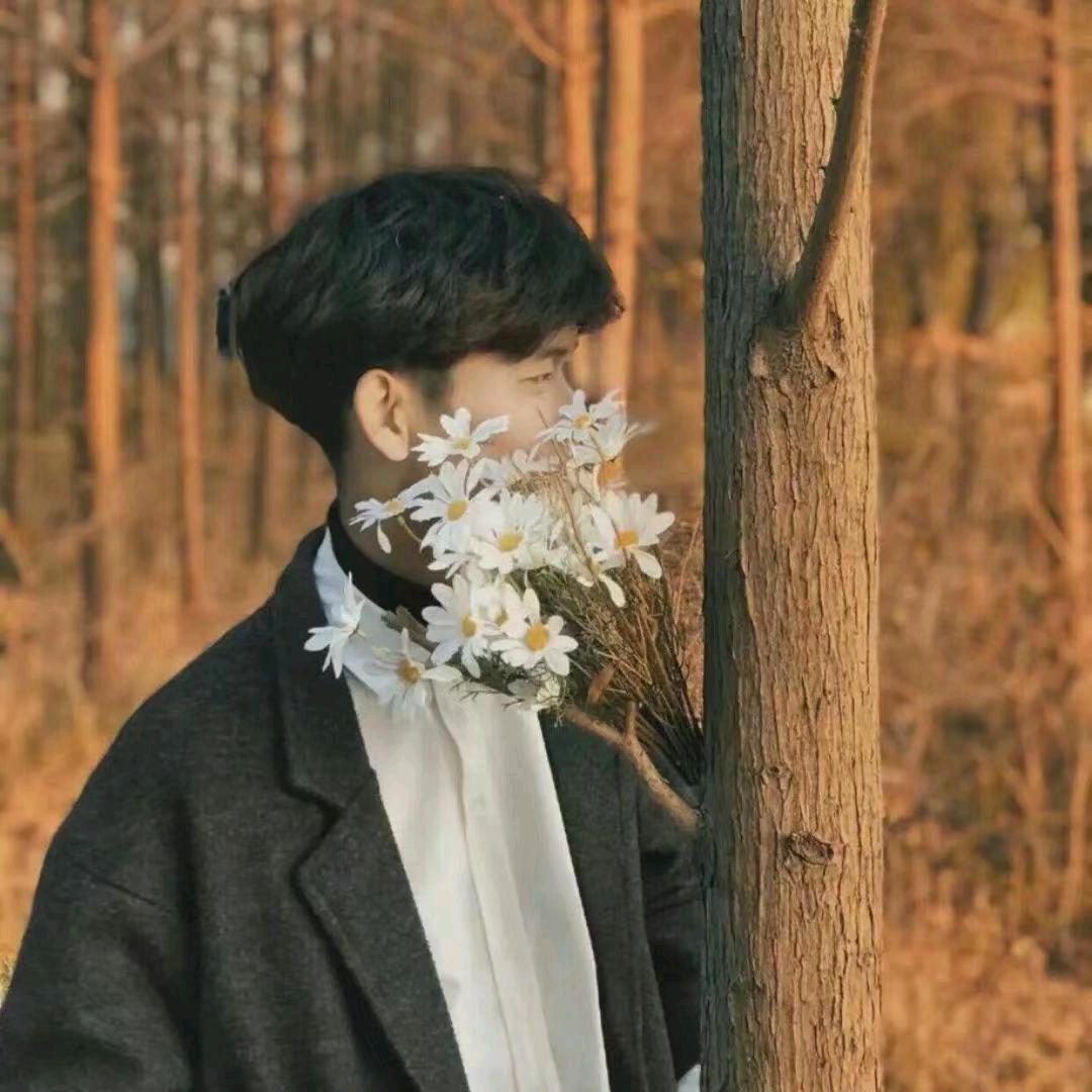 木槿
