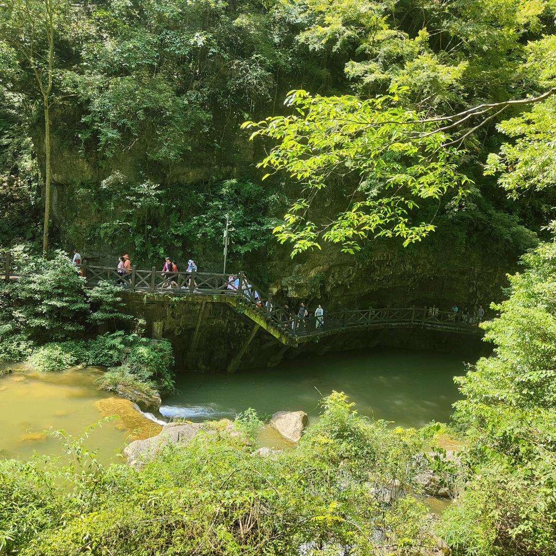 夏沅芳