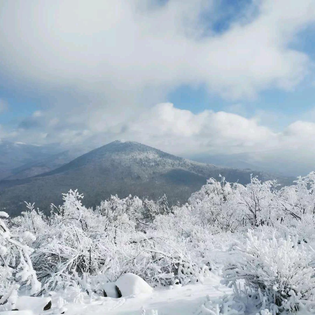 东北老白山