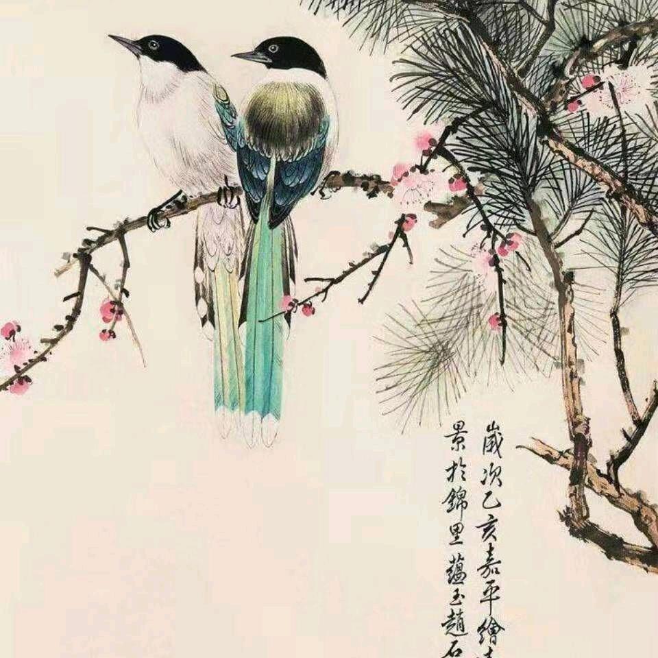 一 世情缘《橱窗有好物》