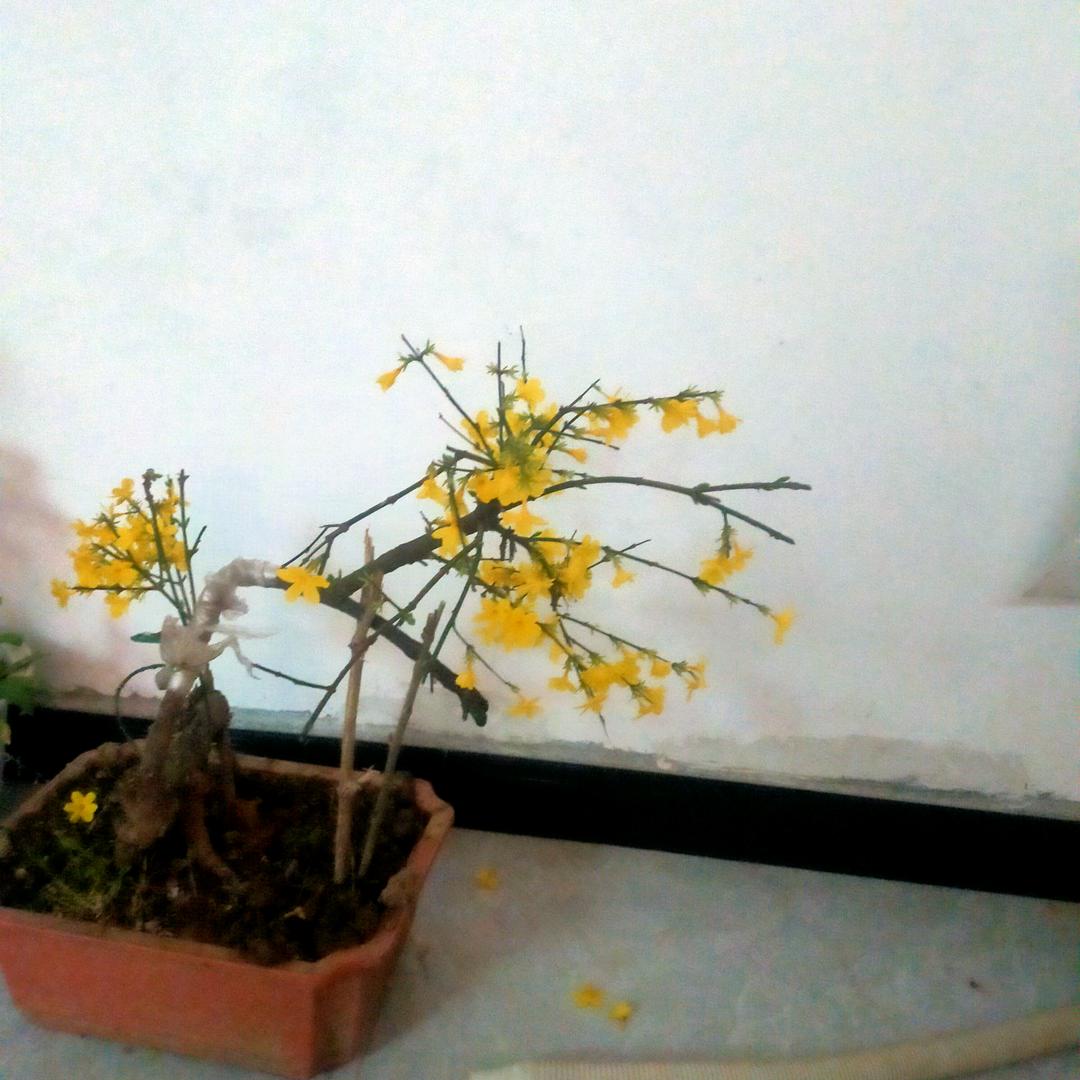 王望生