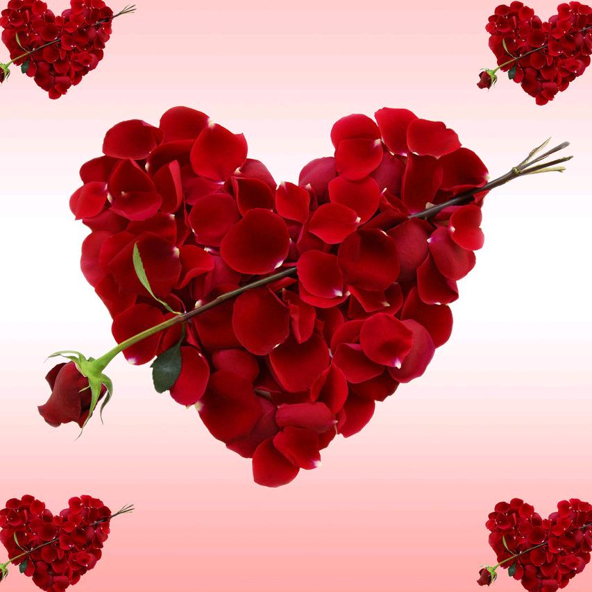💞心中的梦💕