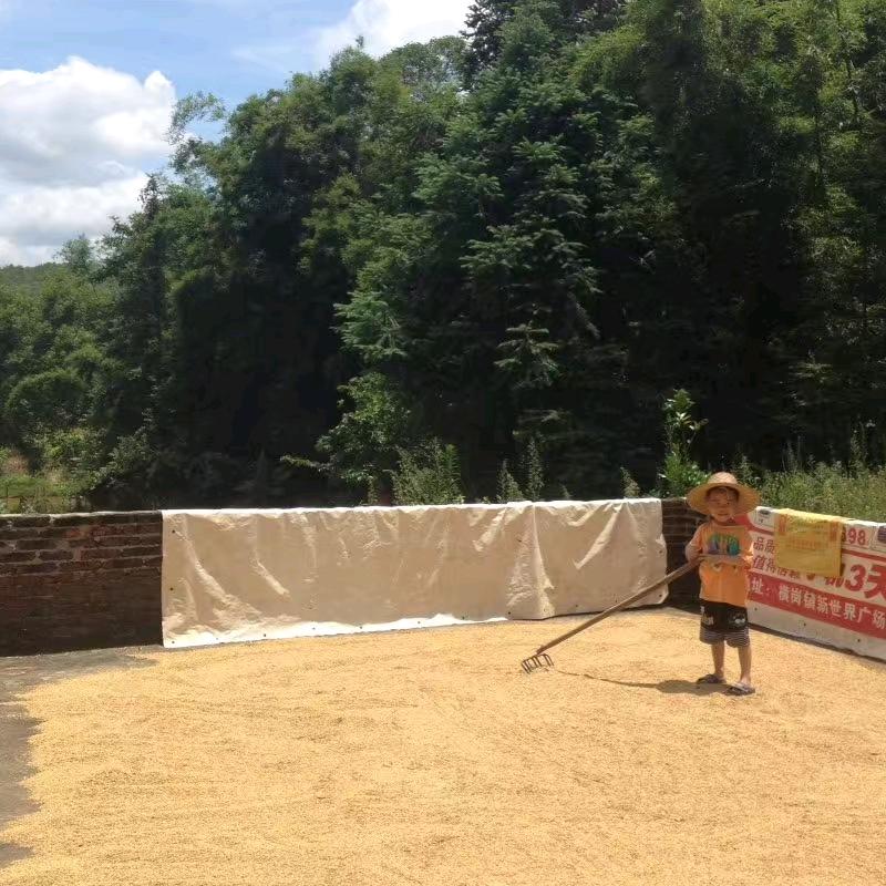荒野求生