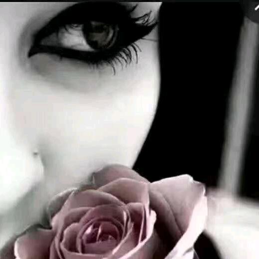 玫瑰花🌹