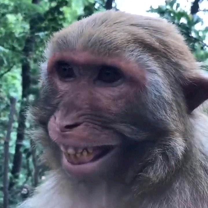想睡懒觉