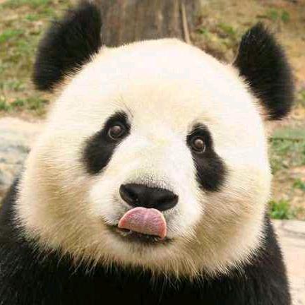 喔ho励志语录