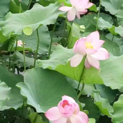 雨后的彩虹