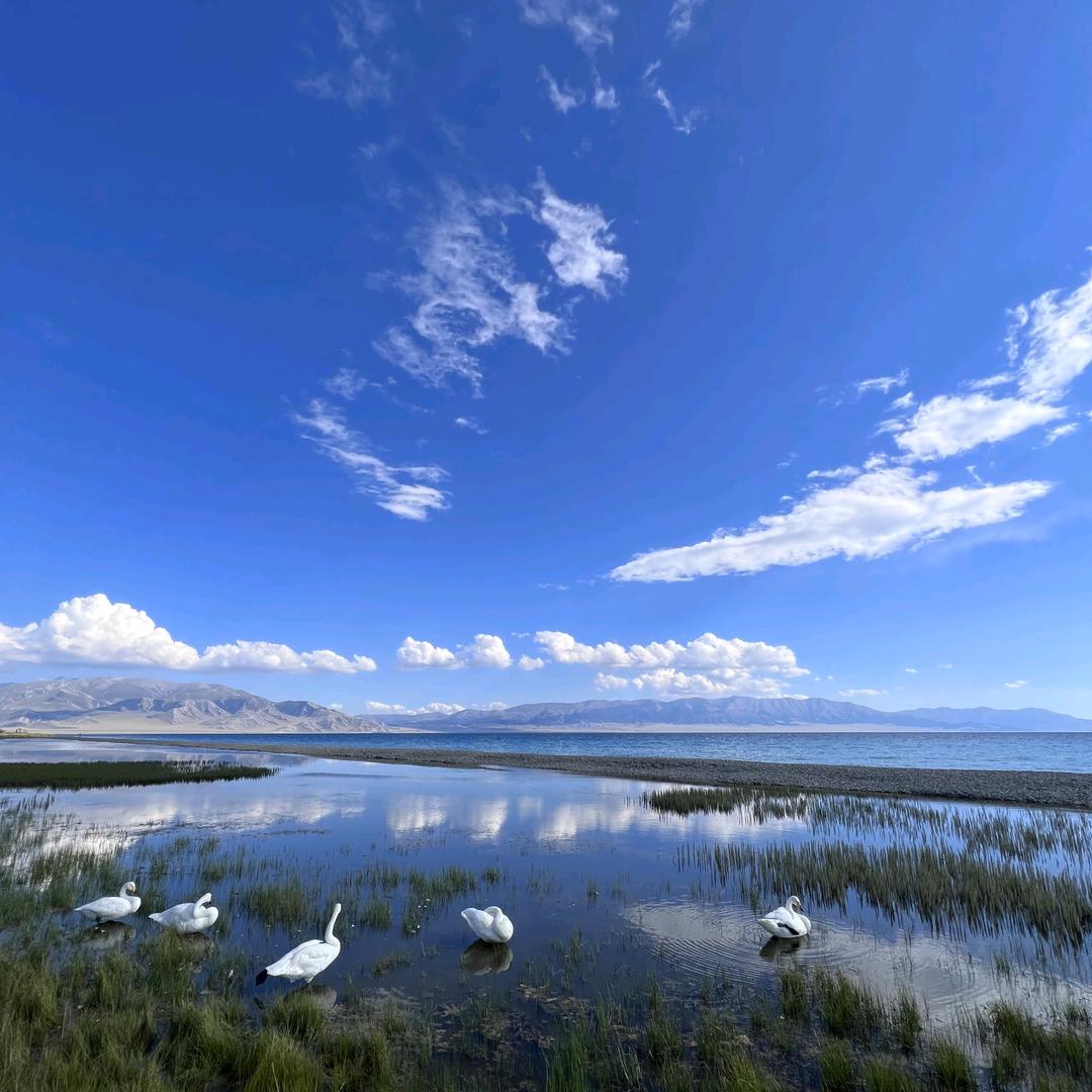 飞翔的小摩托和我的小可爱