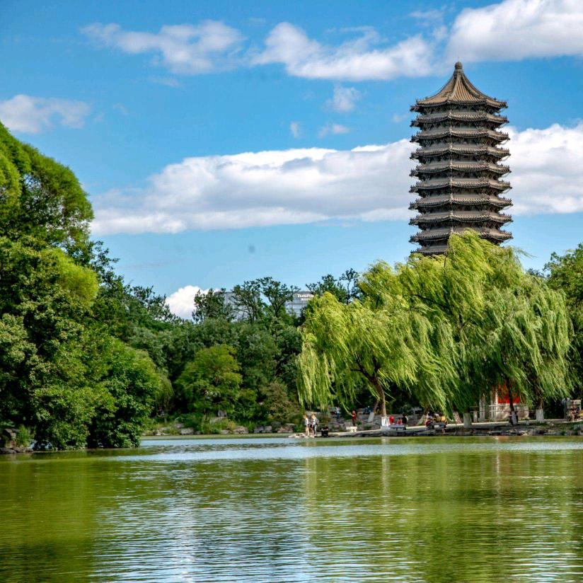 岁月是朵花（橱窗好物）