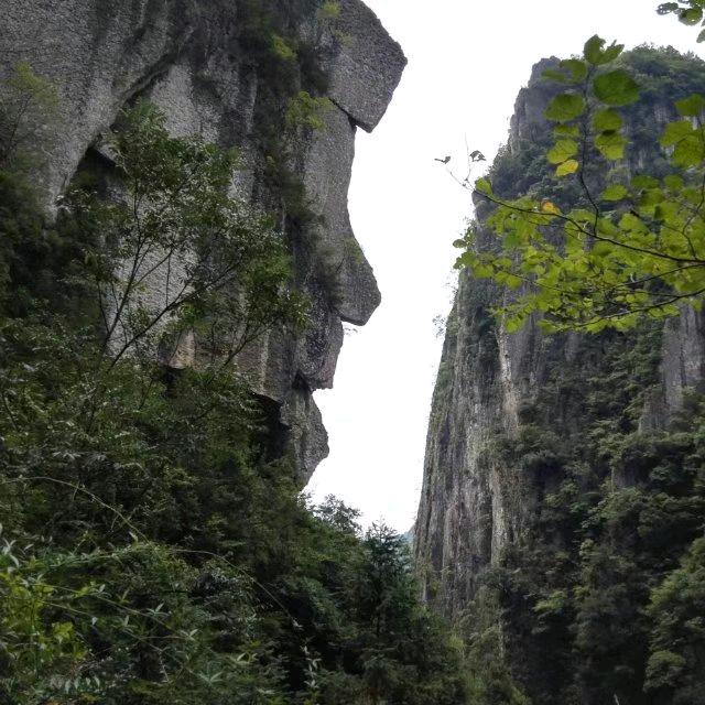 嘉仓嘉措
