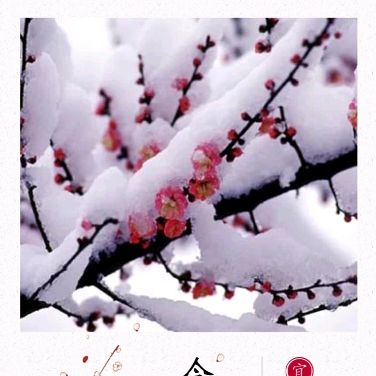 天地间（HL）