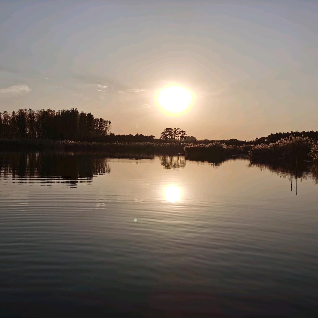 郑州力胜机械设备租赁有限公司