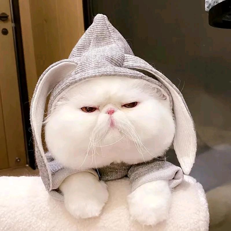 陪娃娃看日出日落