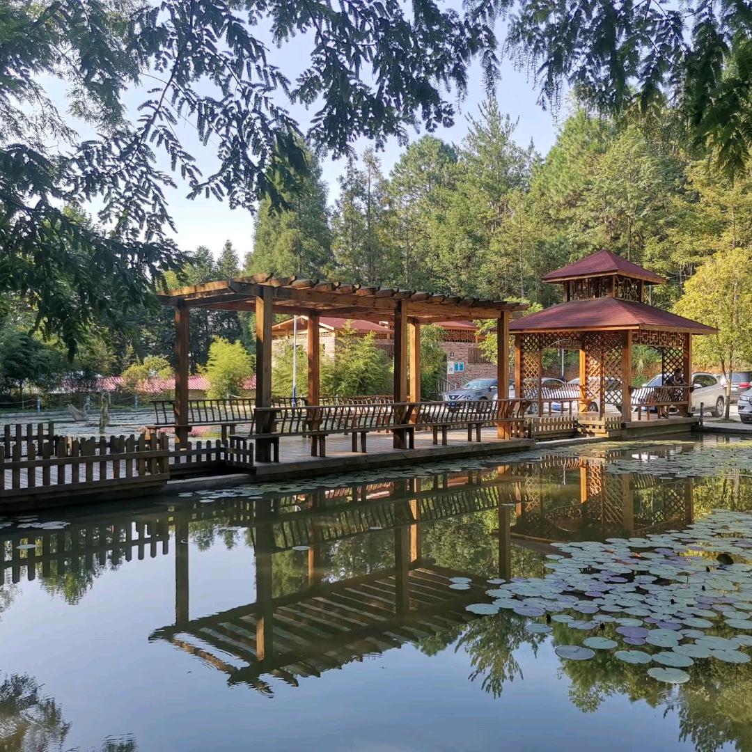 任先生（普安温泉）