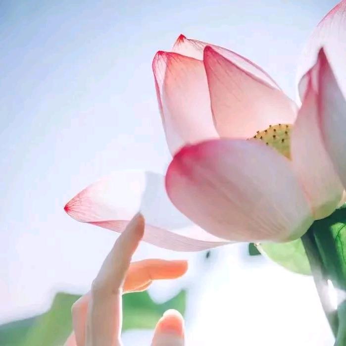 余生好好爱自己