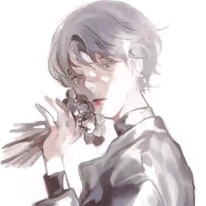 白鸽