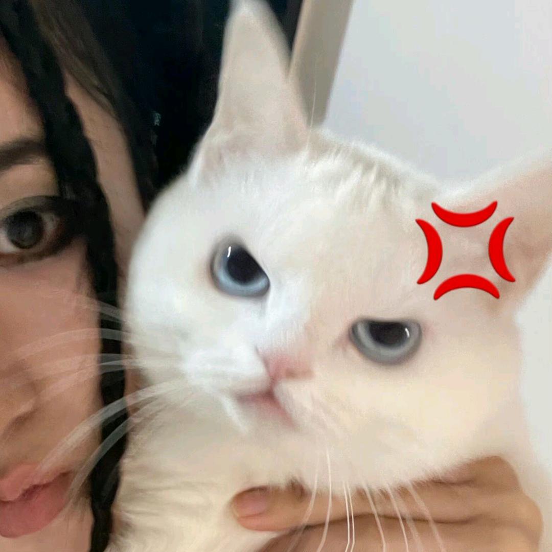 子皿孟-
