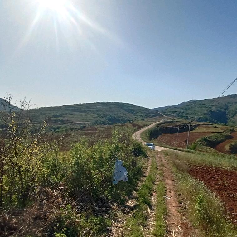 ❄️空军壹号❄️