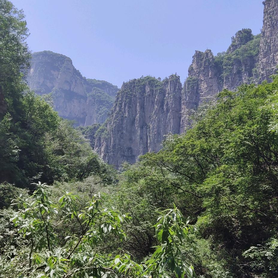 沙漠