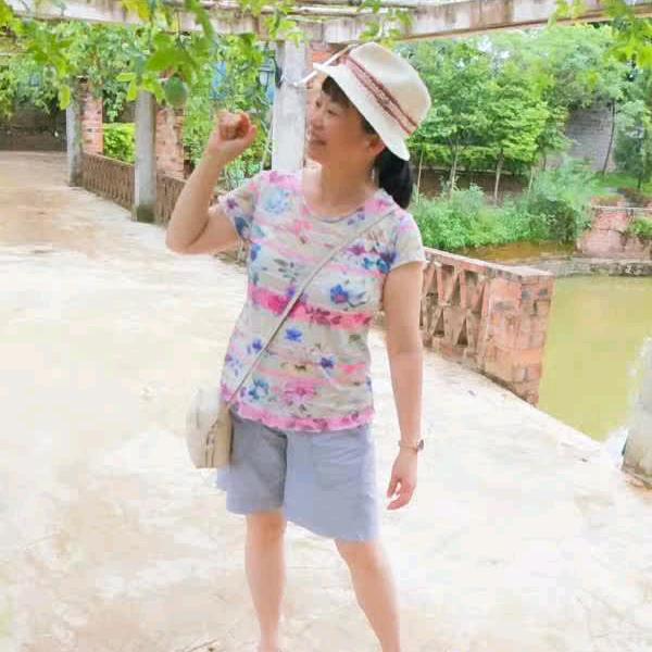 旅欧梅丁