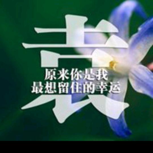 虹虹