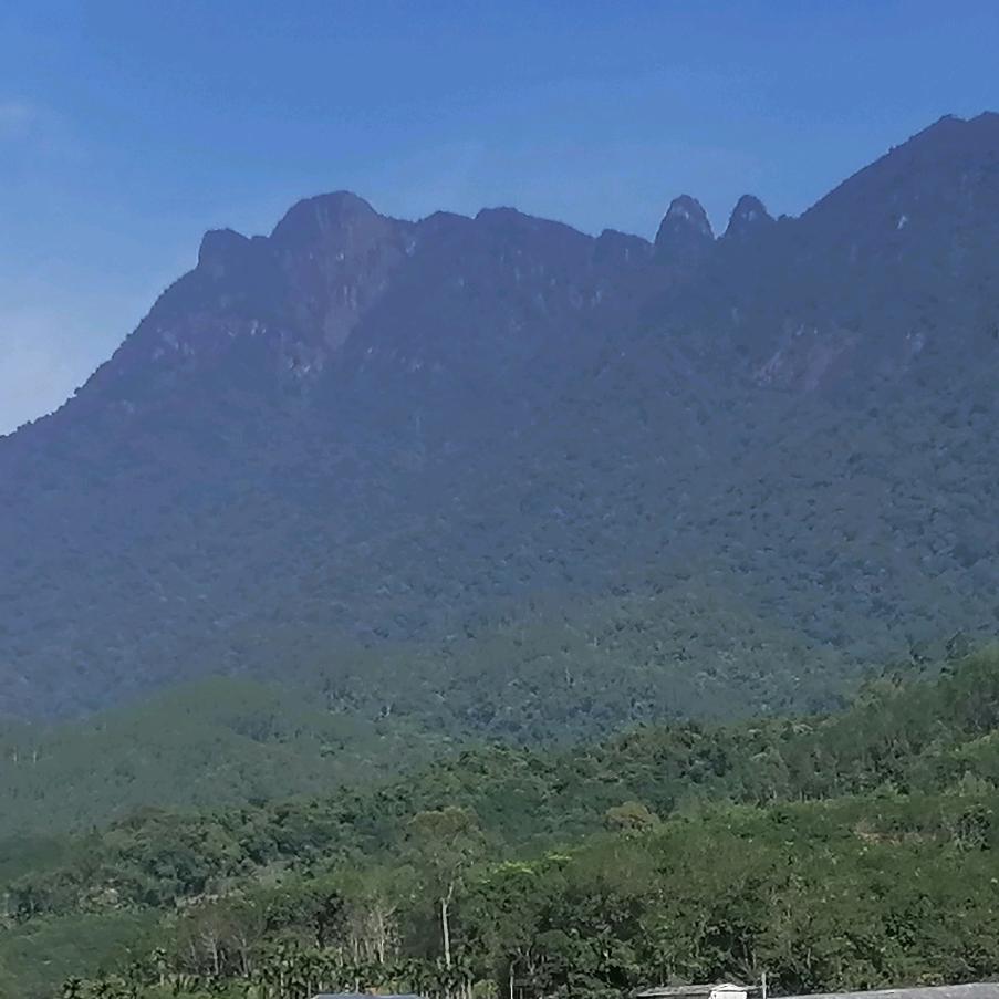 福来往顺