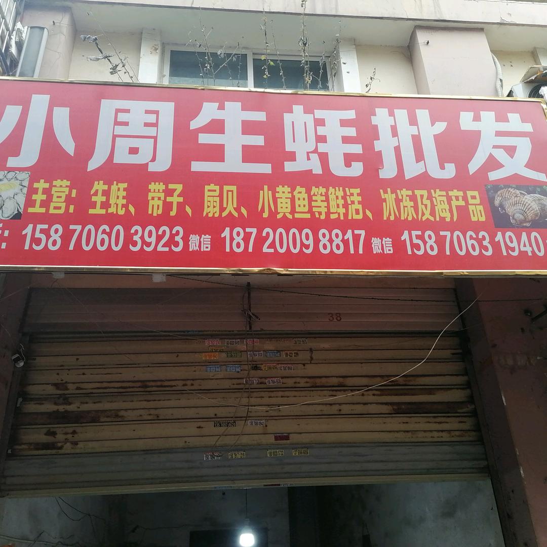 小周生蚝批发官方号