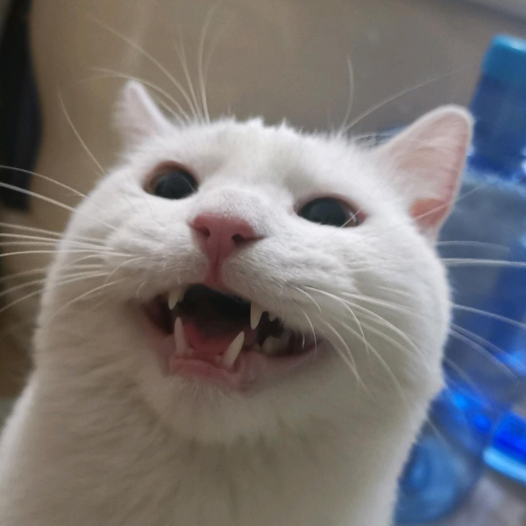 呀吼！