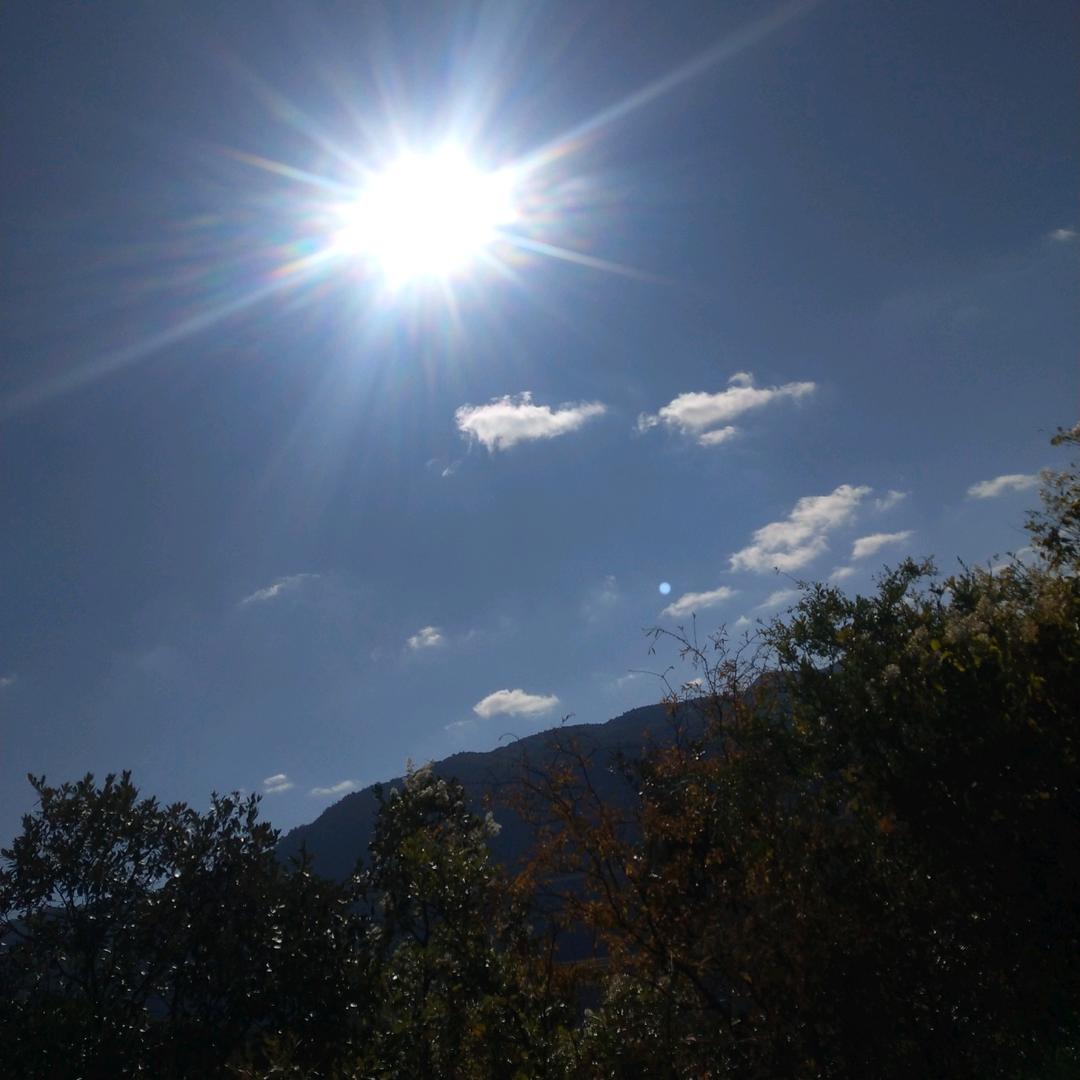 小旭～～白沙洲蔬菜批发！！