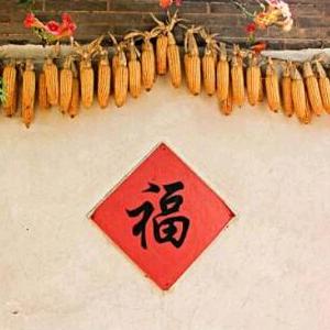 福香沫三农自媒体
