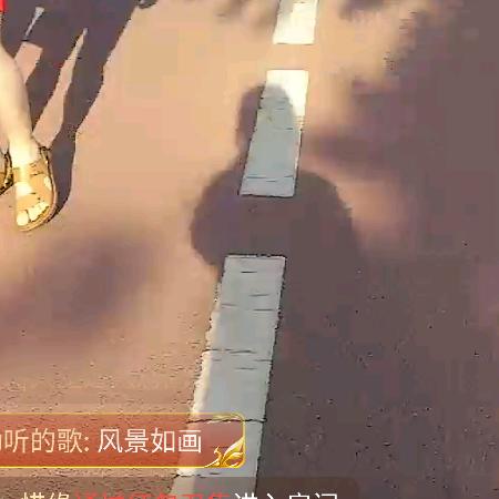 雁归来😛