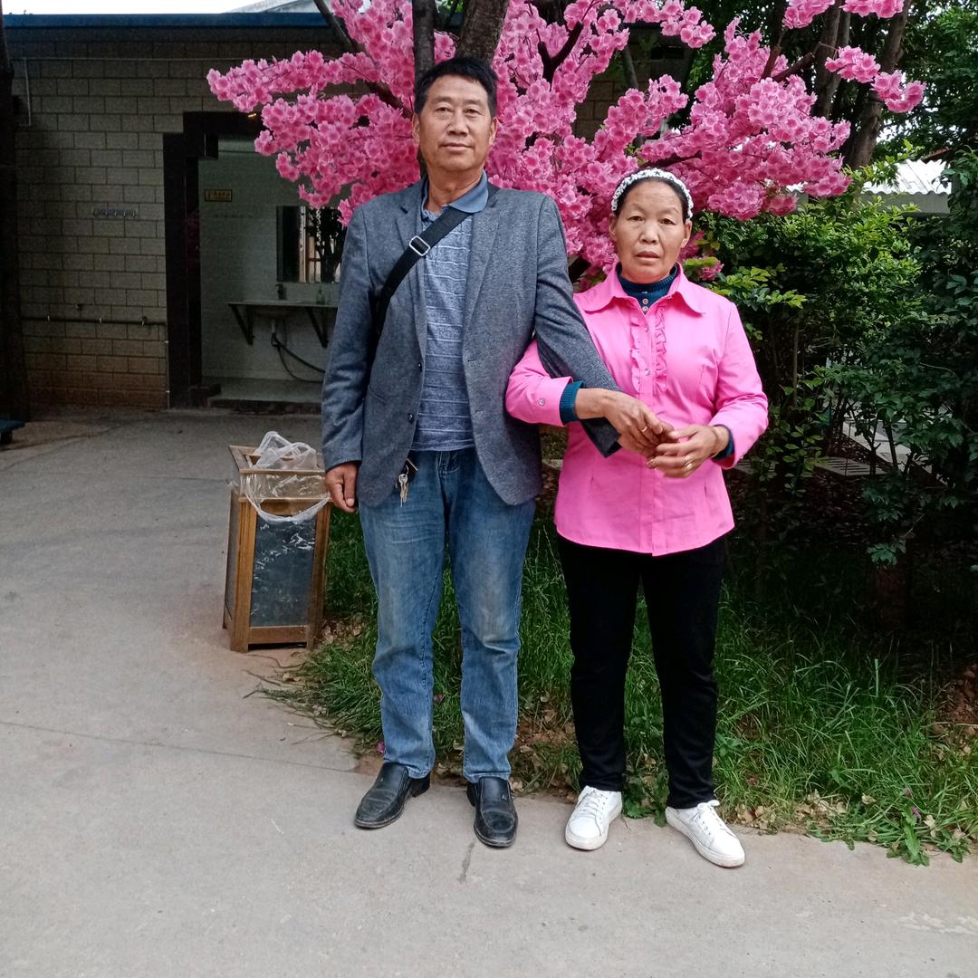 枫叶zdv,&12