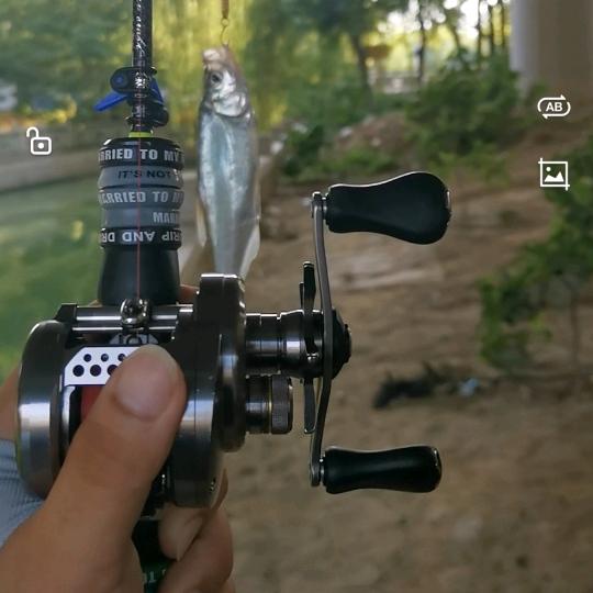 🎣龟仙人