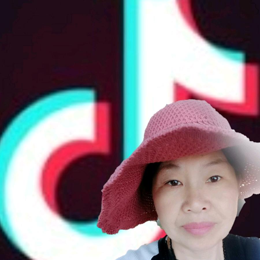 刘大姐(河南)