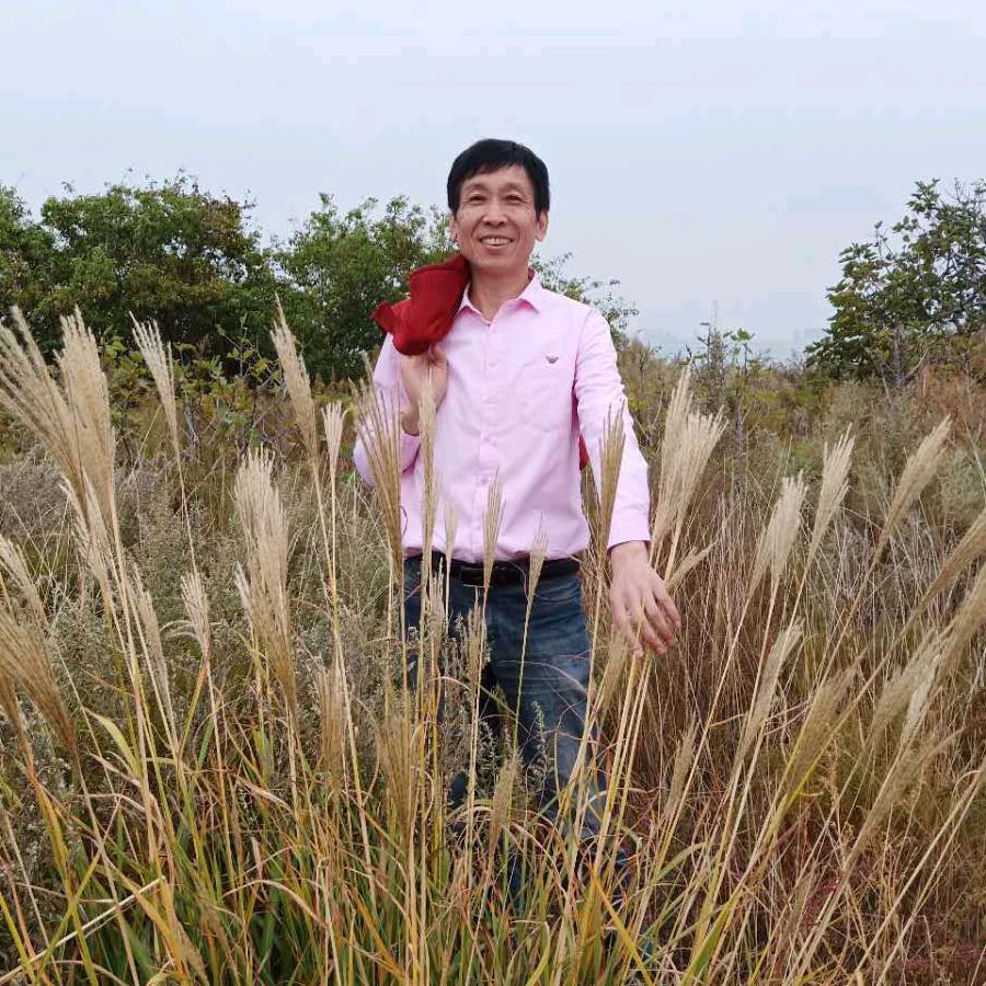 阿崔
