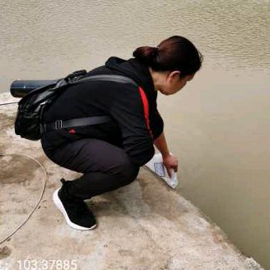 不离不弃