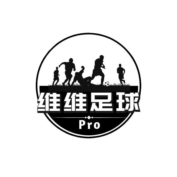 维维足球pro