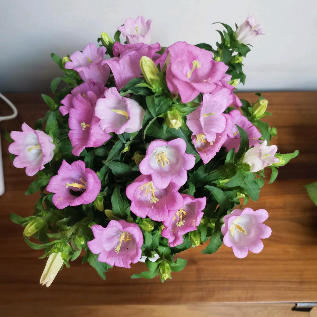 一一奶奶（拒绝私聊）