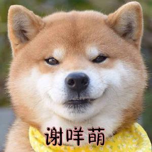 卡卡咳咳头像