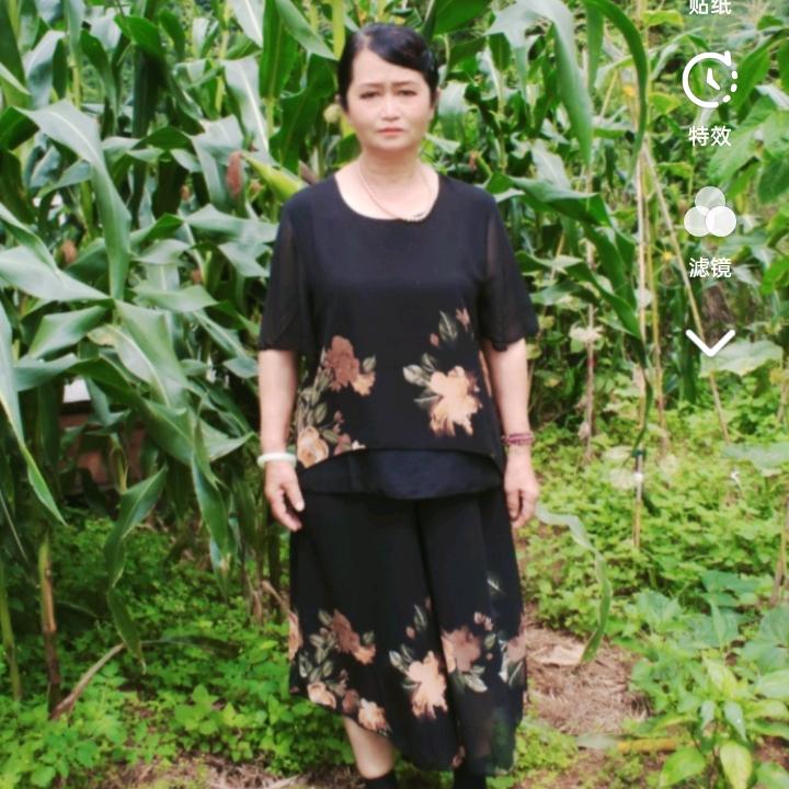 冬去春来。