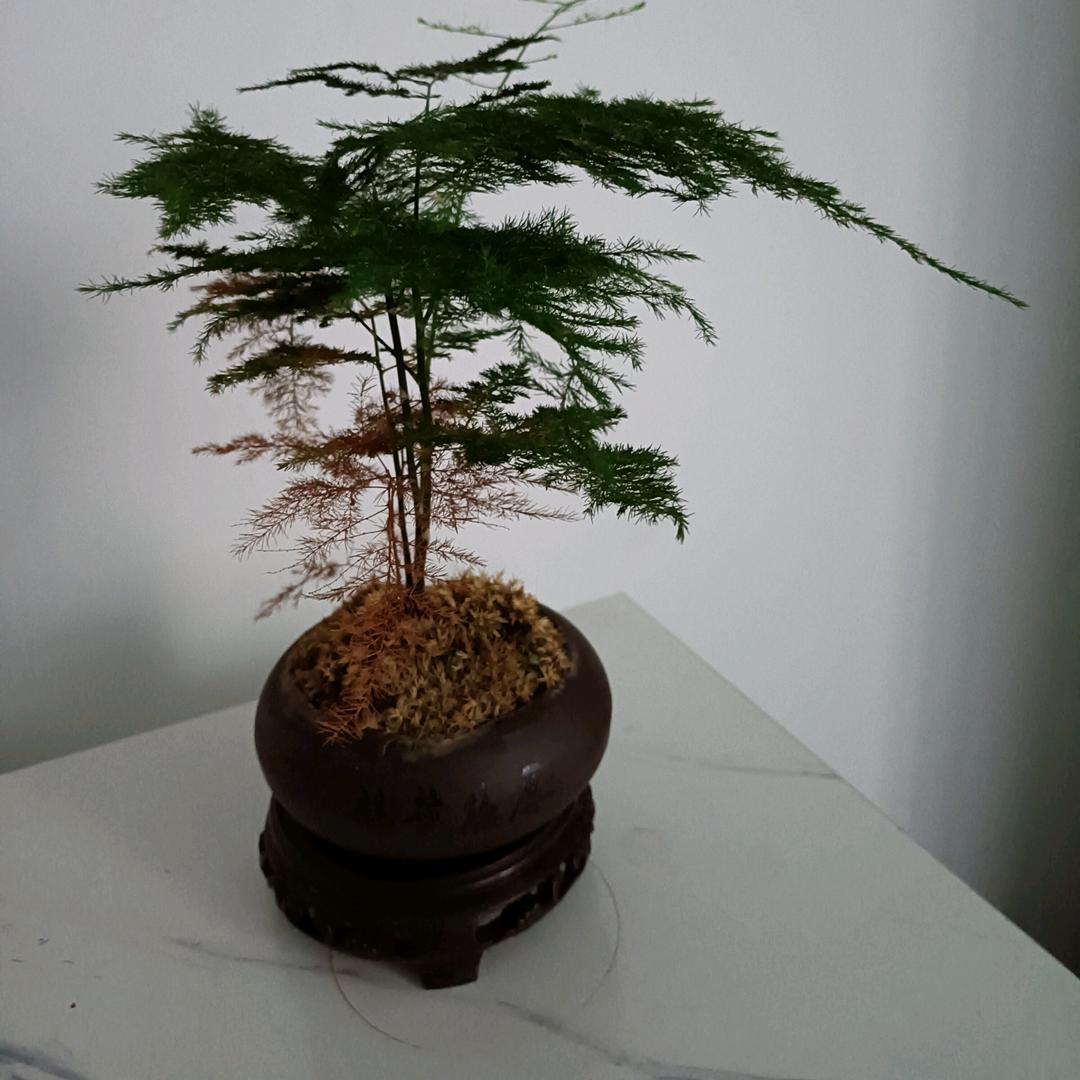 万物皆有回转