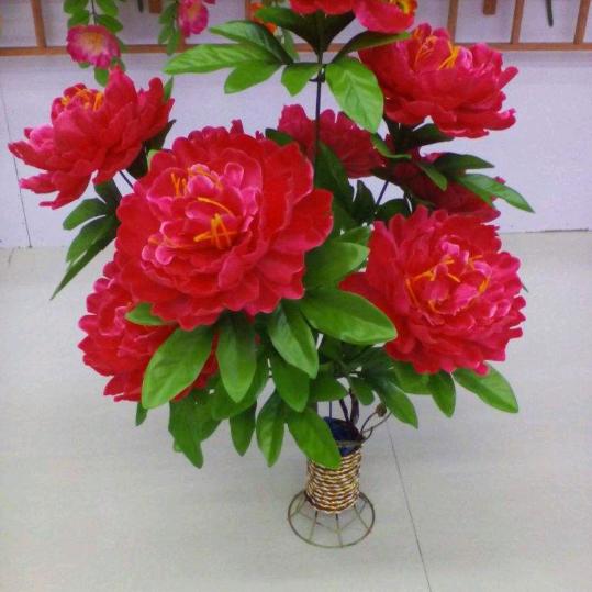 姚明🌹🌸