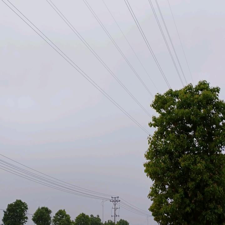 陈总