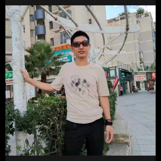 啊龙爬山虎出租