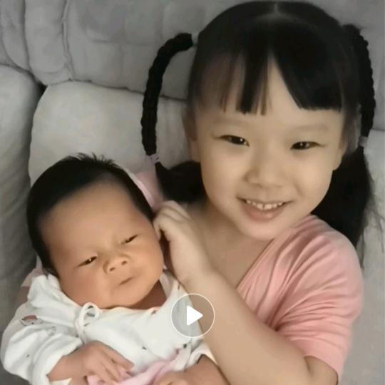 富贵竹